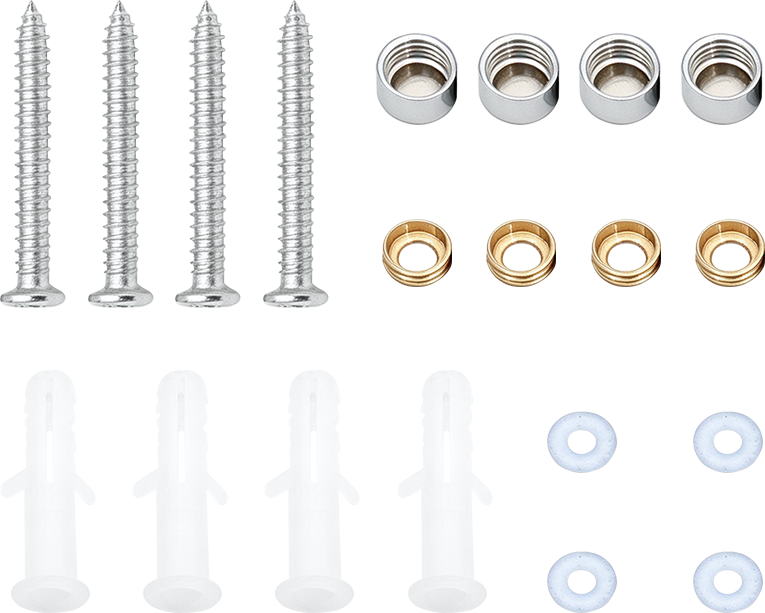 Mirror Screws