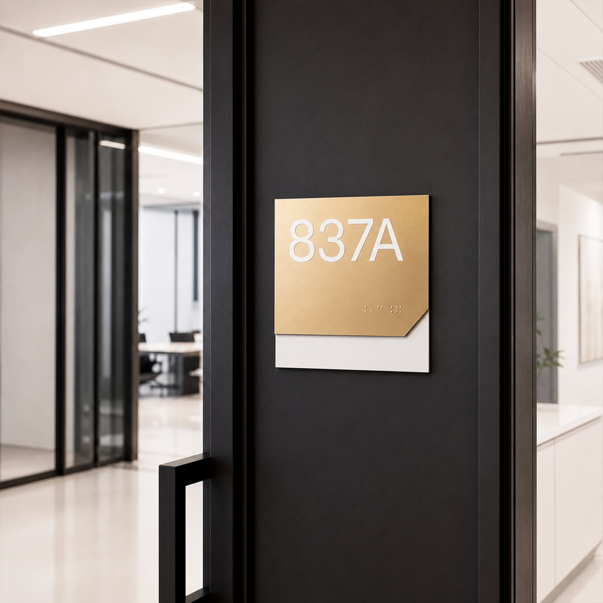 Acrylic Braille Door Sign